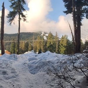 Meet your Posher, Lola